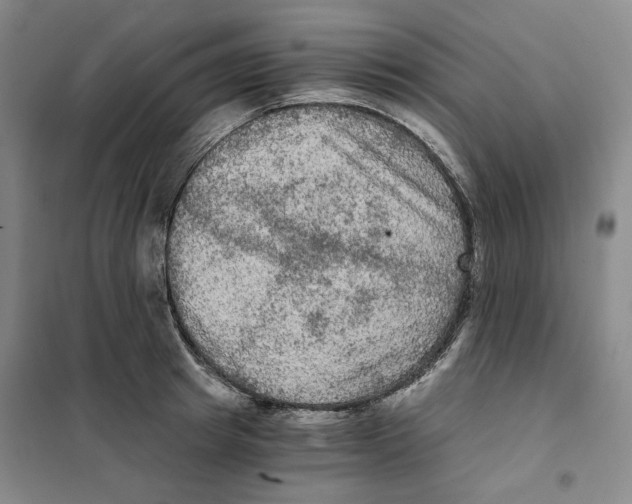 X0000101120849200807241157