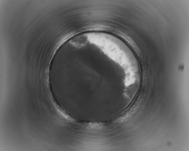 X0000101120850200807241157