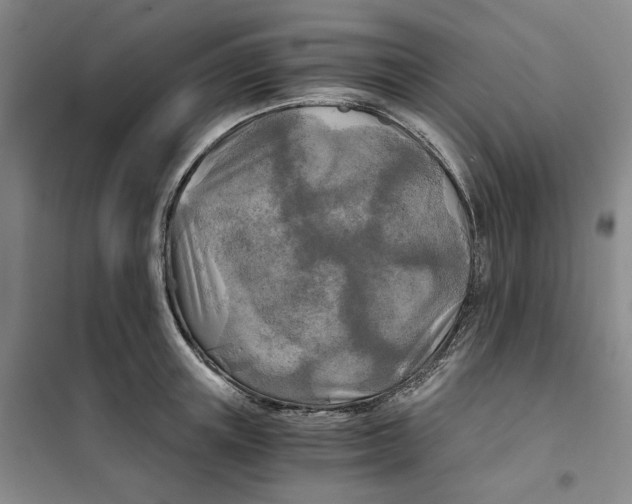 X0000101120851200807241157