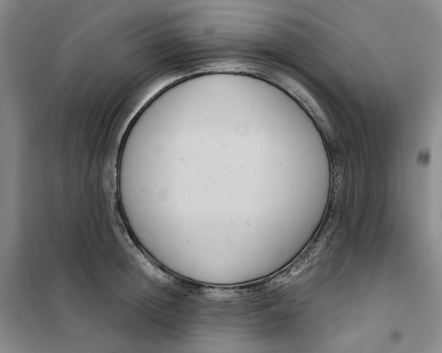 X0000101120852200807241157