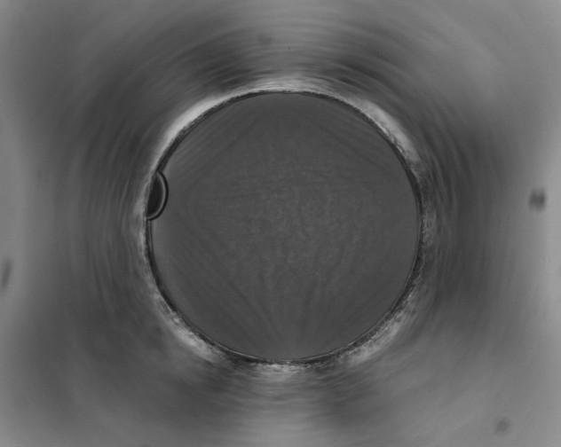 X0000101120854200807241157