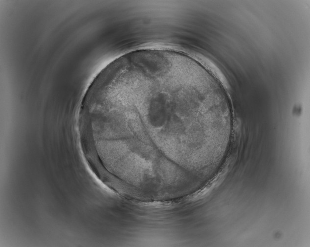 X0000101120855200807241157