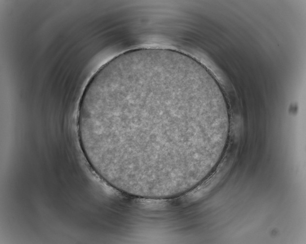 X0000101120856200807241157