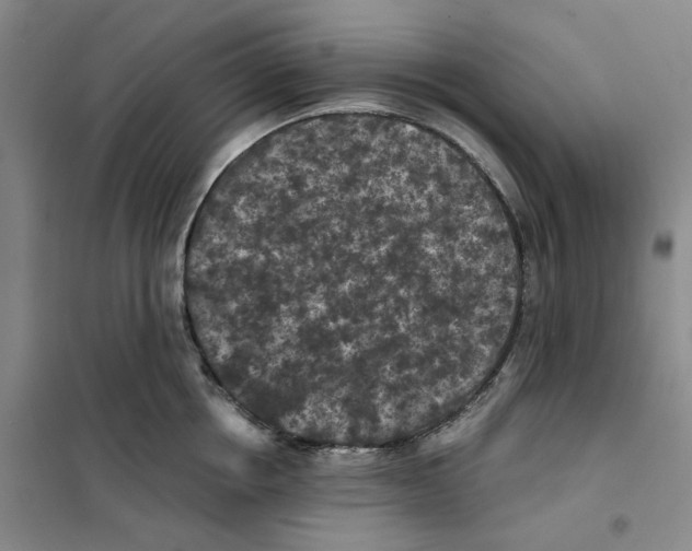 X0000101120858200807241157