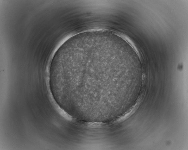 X0000101120859200807241157