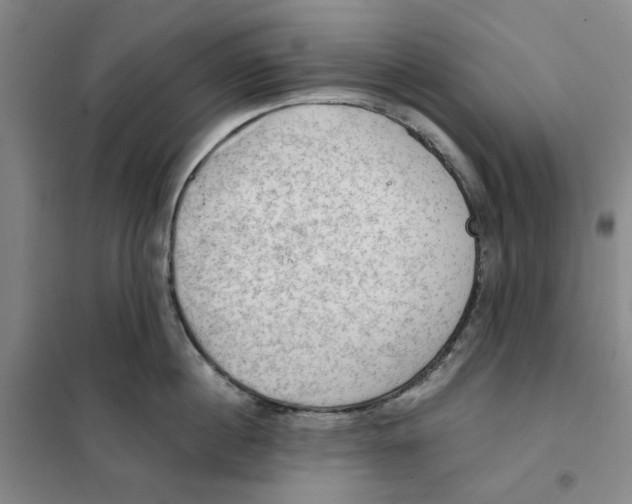 X0000101120860200807241157