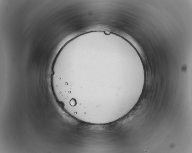 X0000101120861200807241157