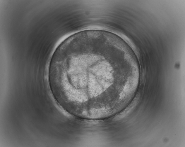 X0000101120862200807241157