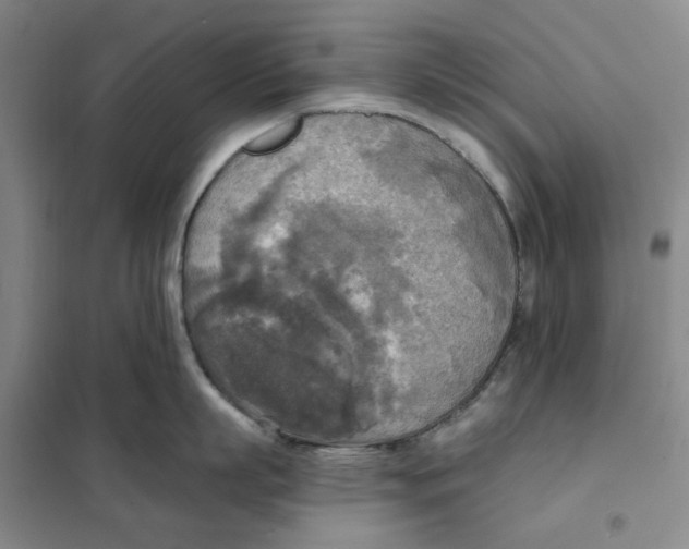 X0000101120863200807241157