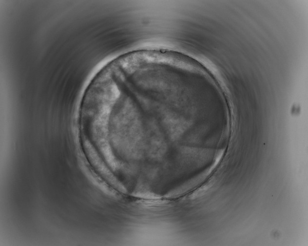 X0000101120864200807241157