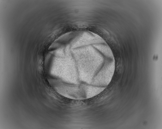X0000101120866200807241157