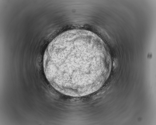 X0000101120867200807241156