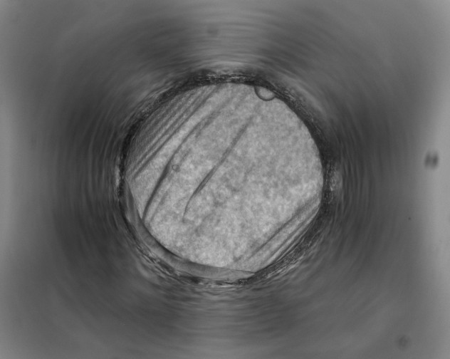 X0000101120868200807241156