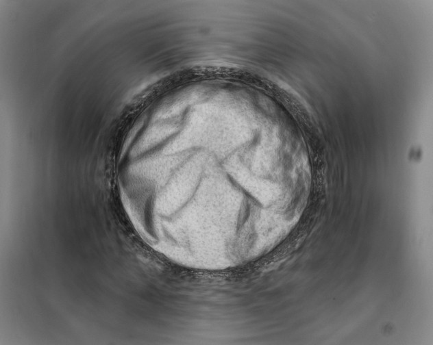 X0000101120870200807241156