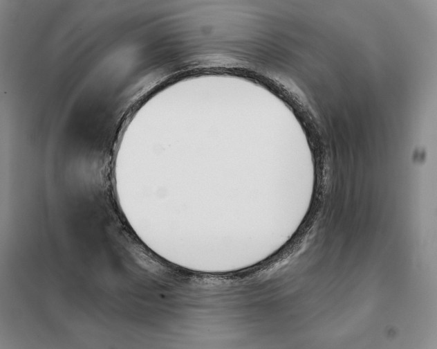 X0000101120873200807241156