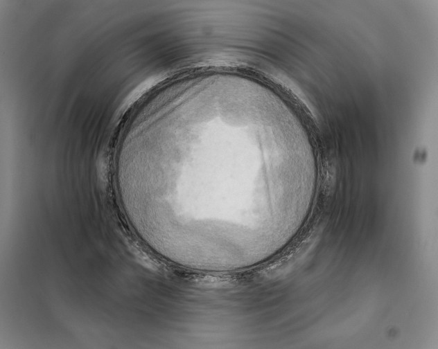 X0000101120874200807241156