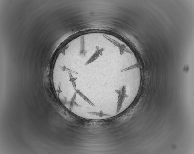 X0000101120875200807241156