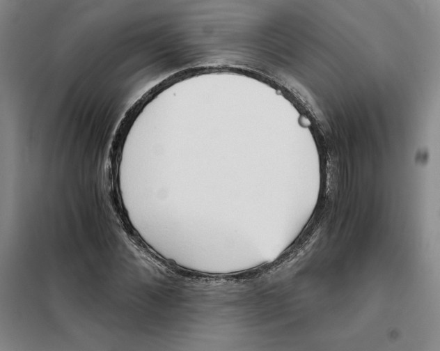 X0000101120876200807241156