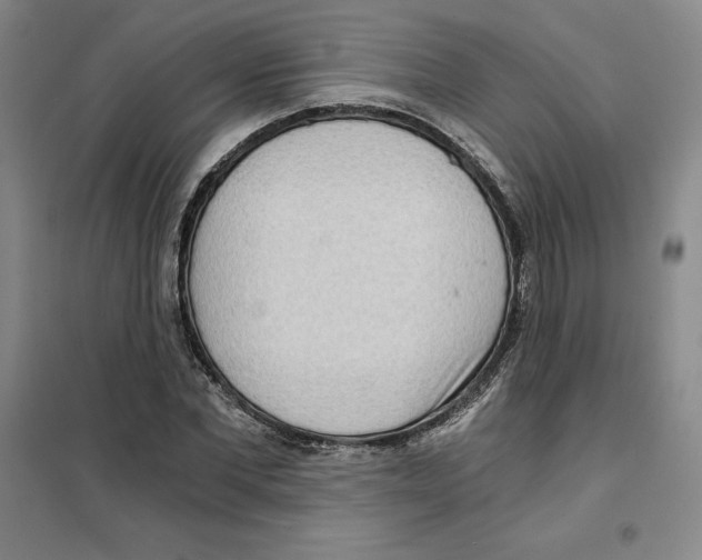 X0000101120877200807241156
