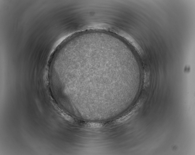 X0000101120878200807241156