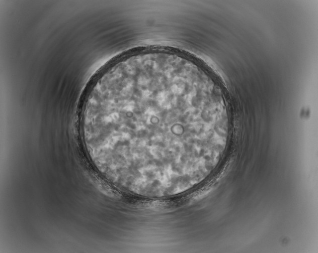 X0000101120879200807241156