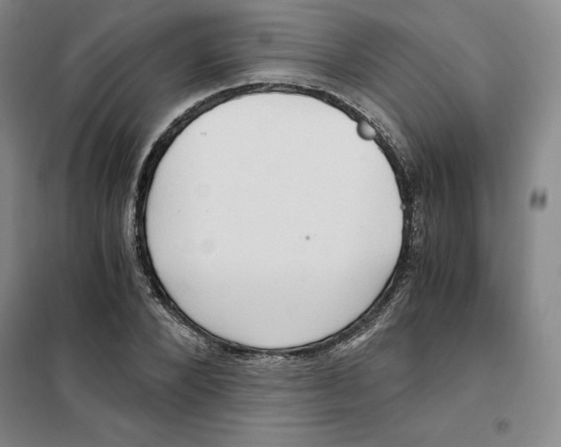 X0000101120880200807241156