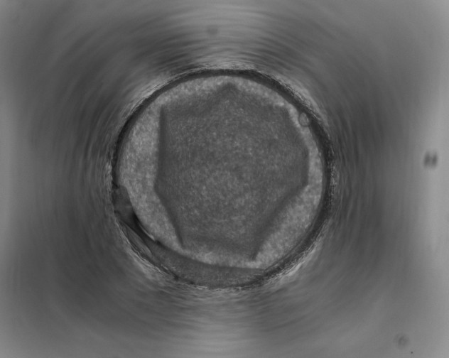 X0000101120881200807241156
