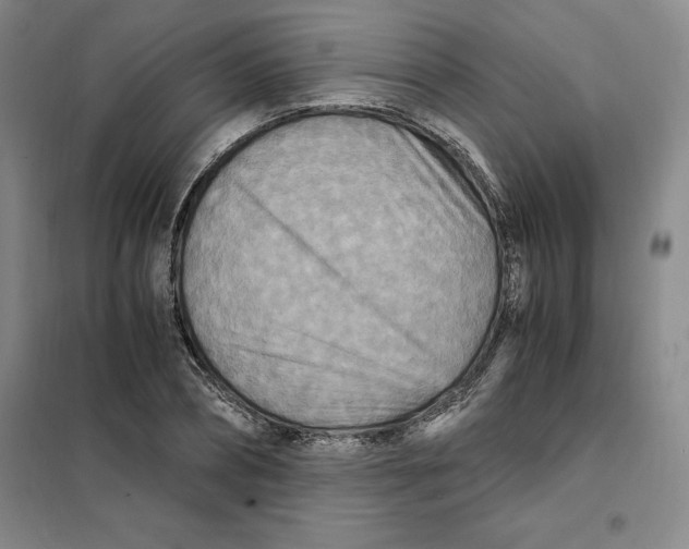 X0000101120882200807241156