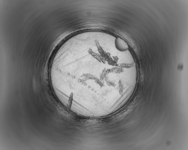 X0000101120883200807241156