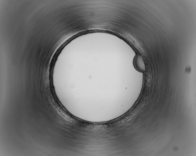 X0000101120884200807241156