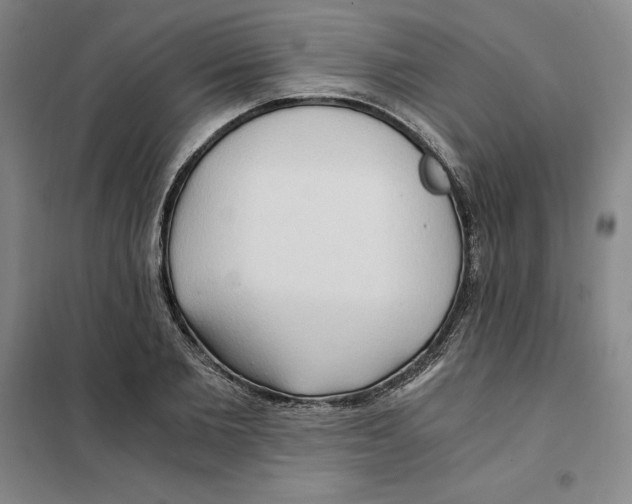 X0000101120885200807241156