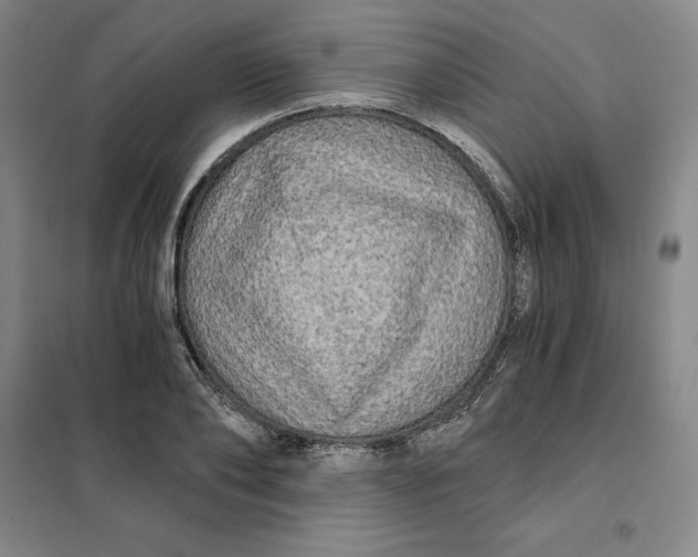 X0000101120886200807241156