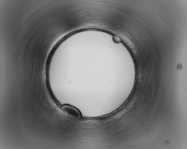 X0000101120888200807241156