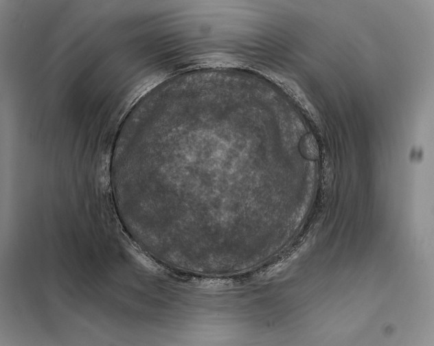 X0000101120889200807241156