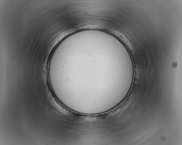 X0000101120890200807241156