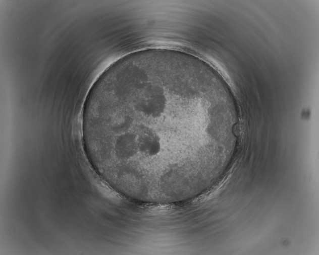 X0000101120891200807241156