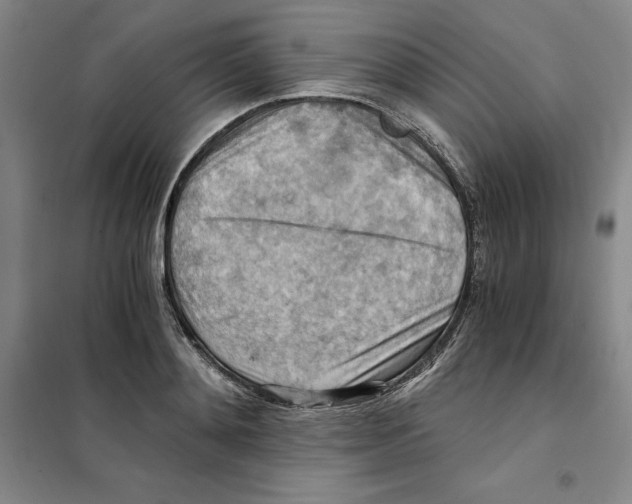 X0000101120892200807241156