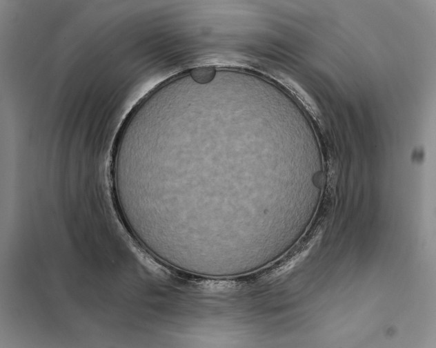 X0000101120893200807241156