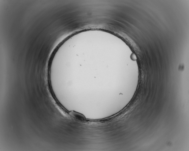 X0000101120894200807241156