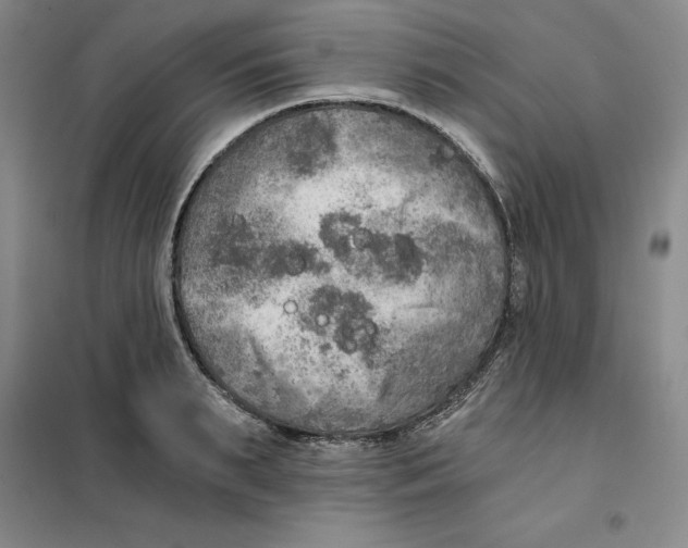 X0000101120895200807241156