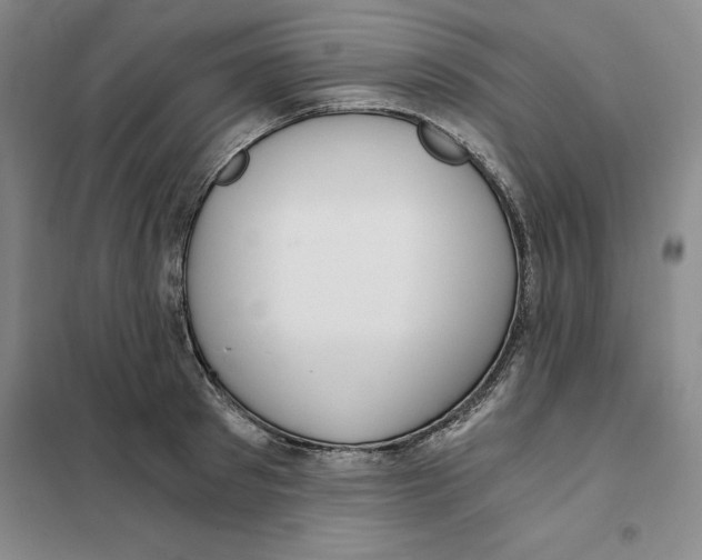 X0000101120897200807241156