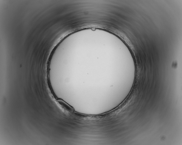 X0000101120898200807241156
