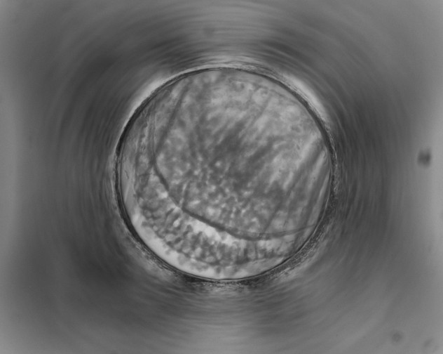 X0000101120899200807241156