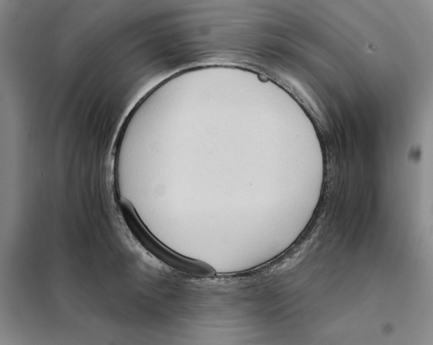 X0000101120900200807241156