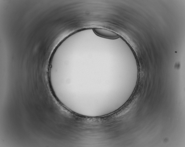 X0000101120901200807241156