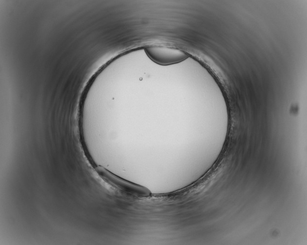 X0000101120902200807241156
