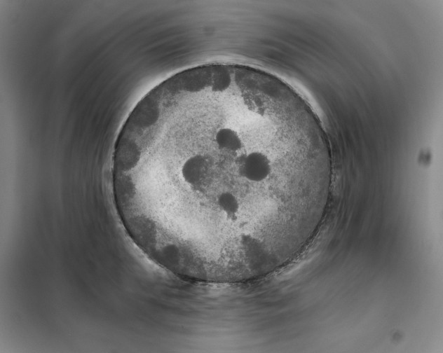 X0000101120903200807241156