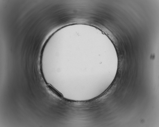 X0000101120904200807241156