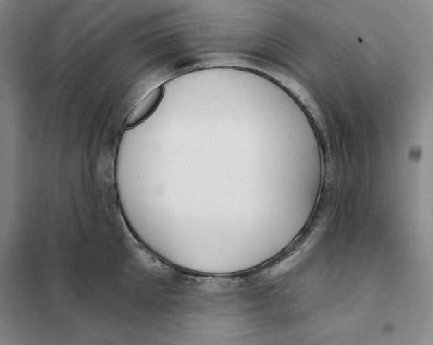 X0000101120905200807241156