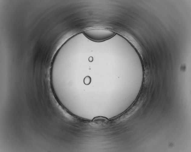 X0000101120906200807241156
